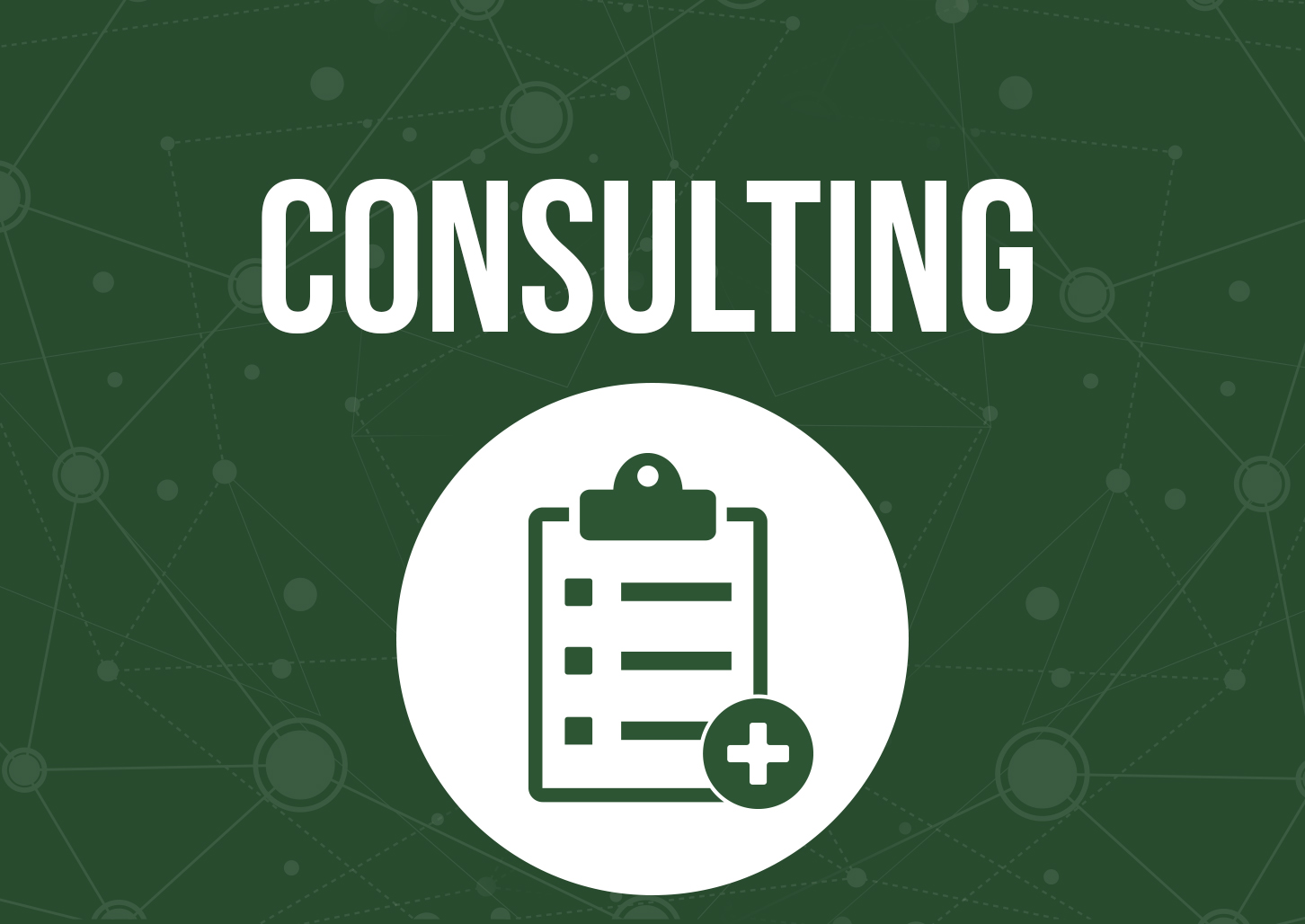 STRATEGIC CONSULTING SOLUTIONS